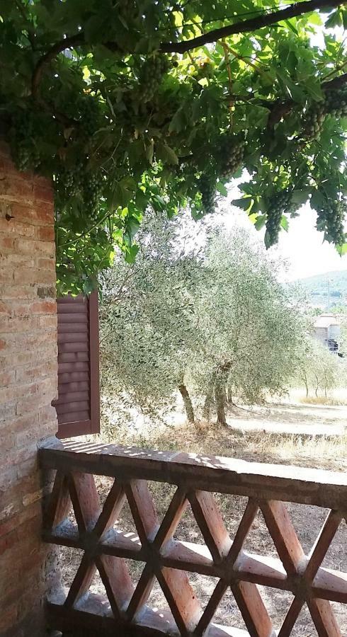 Vila Casa Dei Borghi Murlo Exteriér fotografie