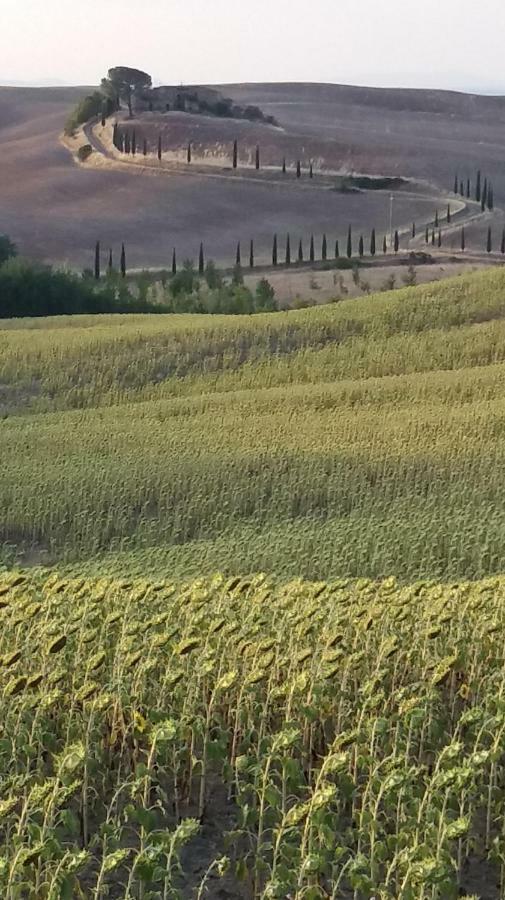 Vila Casa Dei Borghi Murlo Exteriér fotografie